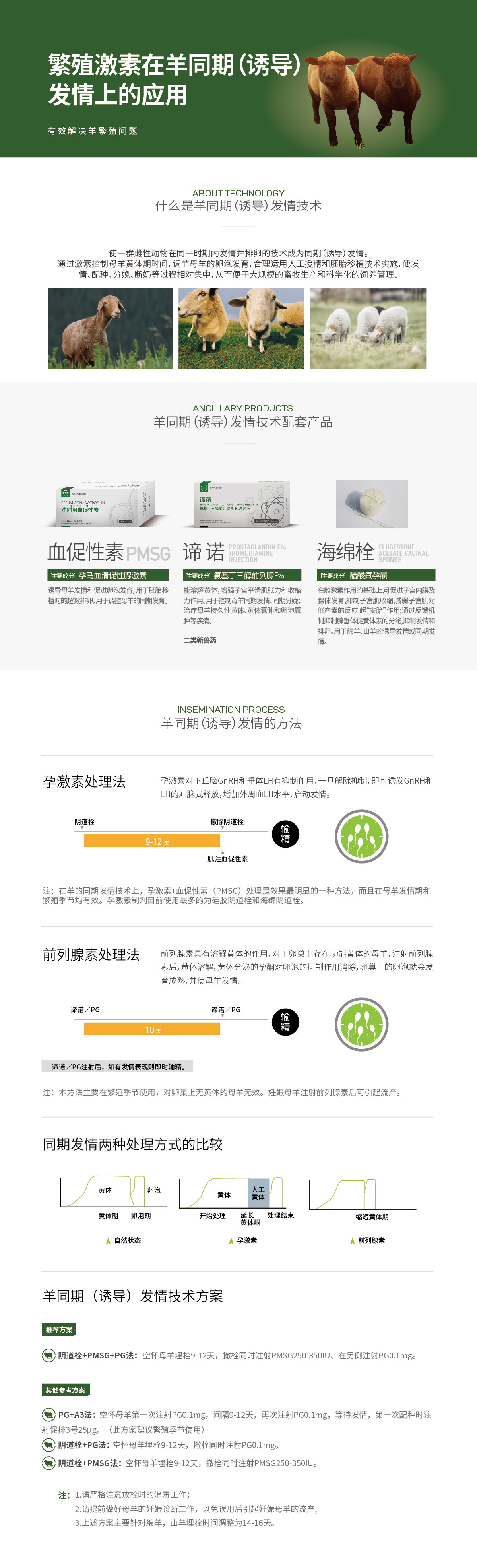 新中文網站技術詳情頁-03.jpg